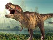 Dinosaur Sounds